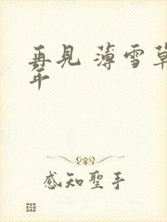 再见 薄雪草少年