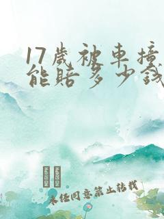 17岁被车撞死能赔多少钱