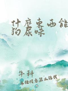 什么东西能消除狗尿味