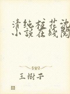 清纯校花沈清清小说在线阅读