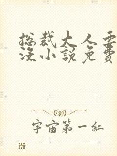 总裁大人要够了没小说免费阅读全文