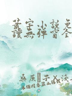 萧宇小说免费阅读无弹窗全文