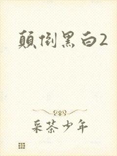 颠倒黑白2