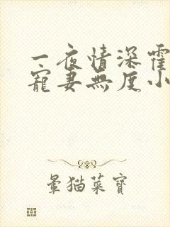 一夜情深霍先生宠妻无度小说