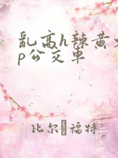 乱高h辣黄文np公交车