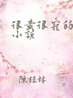 很黄很宠的总裁小说