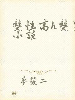 双性高h双男主小说