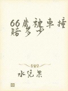 66岁被车撞死赔多少