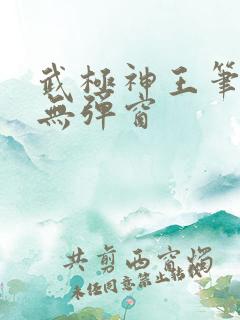 武极神王笔趣阁无弹窗