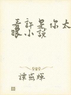 看许是你太过耀眼小说