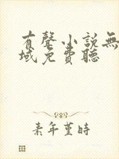 有声小说无敌剑域免费听