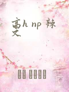 高h np 辣文