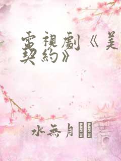 电视剧《美丽的契约》