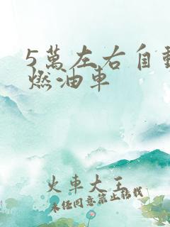 5万左右自动挡燃油车