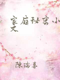 家庭秘密小说全文