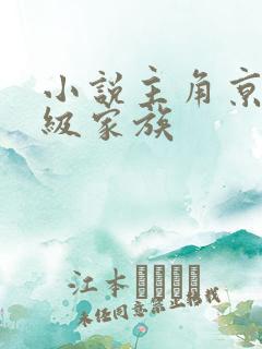 小说主角京城顶级家族