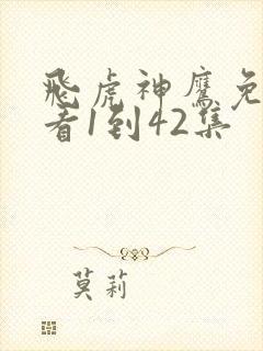 飞虎神鹰免费观看1到42集