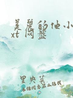 美丽的他小说txt 网盘