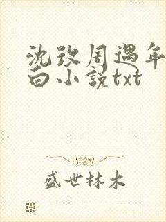 沈玫周遇年周慕白小说txt