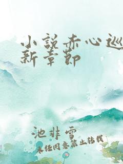 小说赤心巡天最新章节