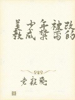 美少年被改造调教成禁脔的小说推荐