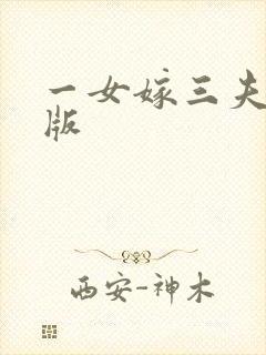一女嫁三夫完整版