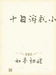 十日游戏小说