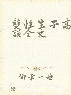 双性生子高h小说全文