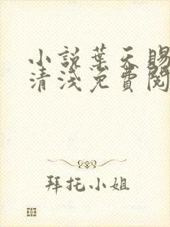 小说叶天赐与林清浅免费阅读