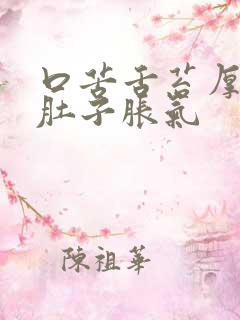 口苦舌苔厚尿黄肚子胀气