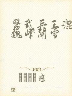 医武兵王混乡村魏峰关雪