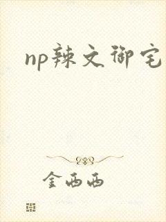 np辣文御宅屋