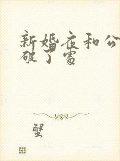 新婚夜和公给我破了处