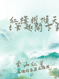 红楼权倾天txt笔趣阁下载