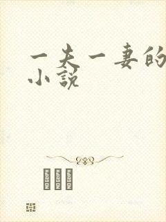 一夫一妻的玄幻小说