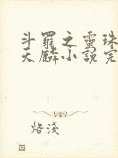 斗罗之灵珠神剑天麟小说完整版下载txt