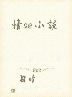 情se小说