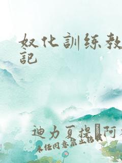 奴化训练教程日记