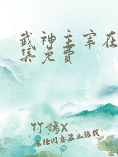 武神主宰在线全集免费