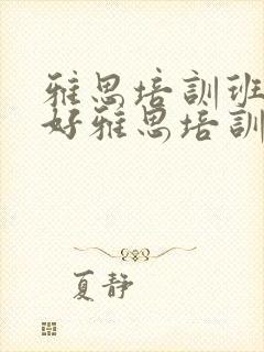 雅思培训班哪个好雅思培训机构