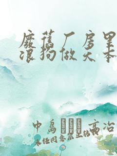 废旧厂房里和流浪狗做天本