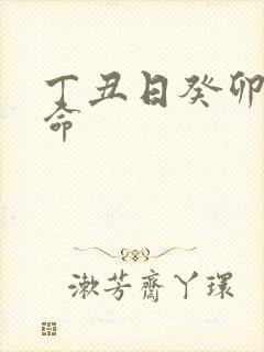 丁丑日癸卯时男命