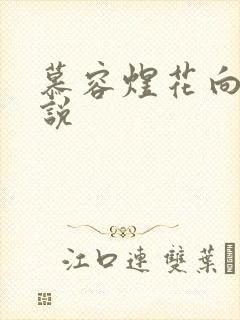 慕容煜花向晚小说