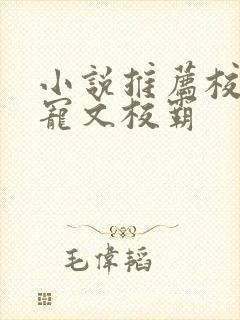 小说推荐校园甜宠文校霸