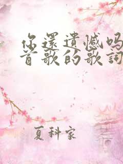 你还遗憾吗是哪首歌的歌词