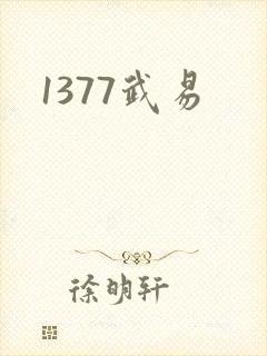 1377武易