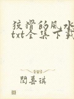 狡猾的风水相师txt全集下载