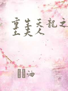 重生天龙之推倒王夫人