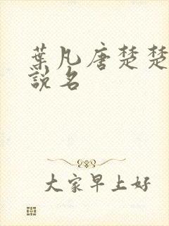 叶凡唐楚楚的小说名
