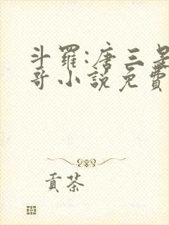 斗罗:唐三是我哥小说免费阅读